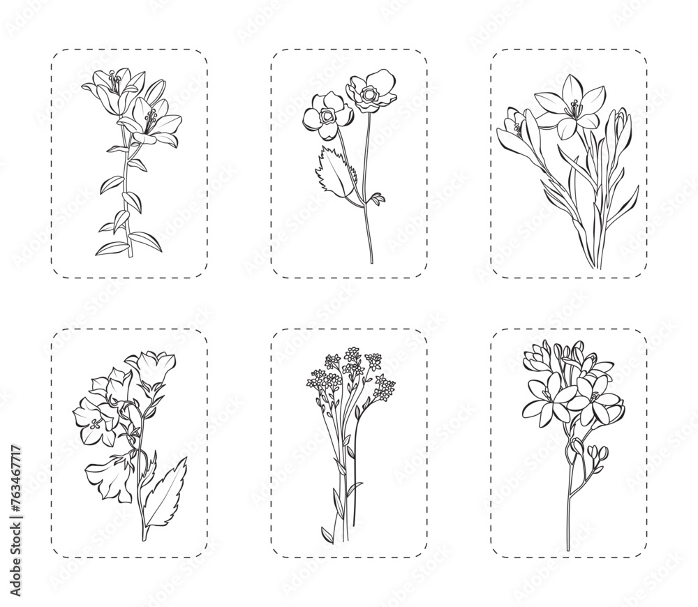 Set of 6 flowers vector illustration. Botanical flowers outline with leaves, isolated on white background. Flowers for spring/summer design or coloring book. 