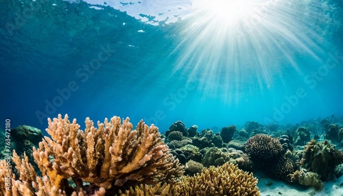 vibrant underwater seascape with sun rays and colorful coral marine life ecosystem in panoramic view ideal for nature backgrounds