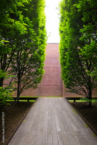 path in the park