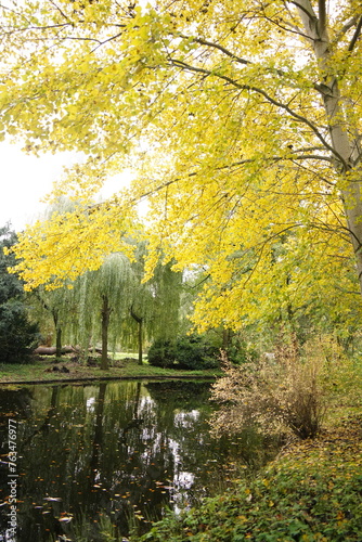 Canvas Print Vibrant and tranquil nature in Denmark