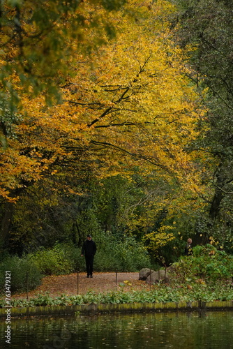Canvas Print Vibrant and tranquil nature in Denmark