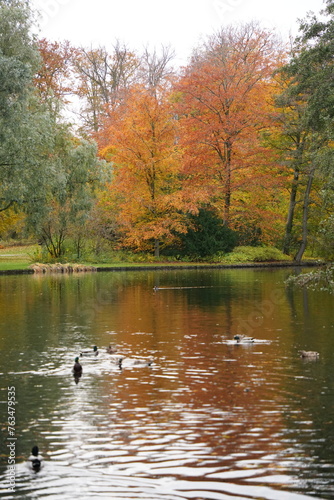 Vibrant and tranquil nature in Denmark © Deekshant