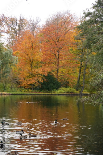 Vibrant and tranquil nature in Denmark