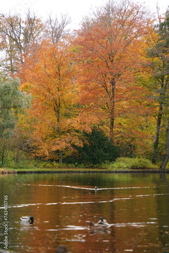 Photography Vibrant and tranquil nature in Denmark