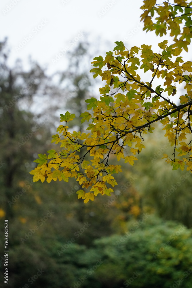 Vibrant and tranquil nature in Denmark
Vibrant and tranquil nature in Denmark