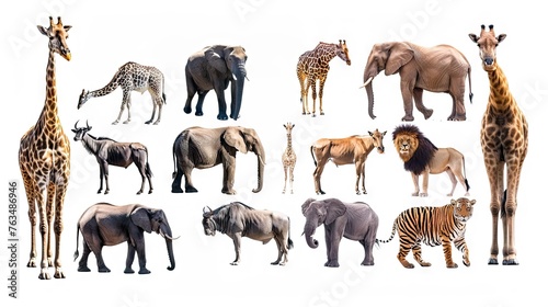 An impressive collection of majestic African mammals isolated on a clean white background  showcasing the diversity of wildlife