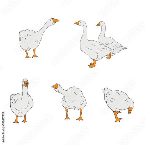 Set of grey geese. Vector icon illustration of cute farm goose domestic ducks.