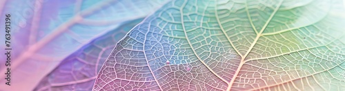 A close up of leaves in multicolored style, colorful leaves macro photography, leaf veins and texture, abstract nature photo, macrography microscopic view of spring plants, AI Generated. photo