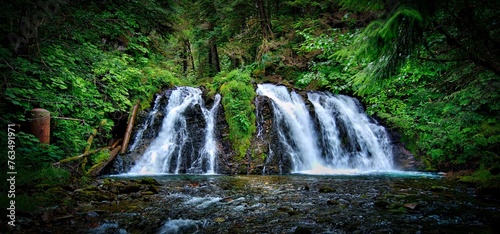 Juneau  Alaska mossy slope waterfall 