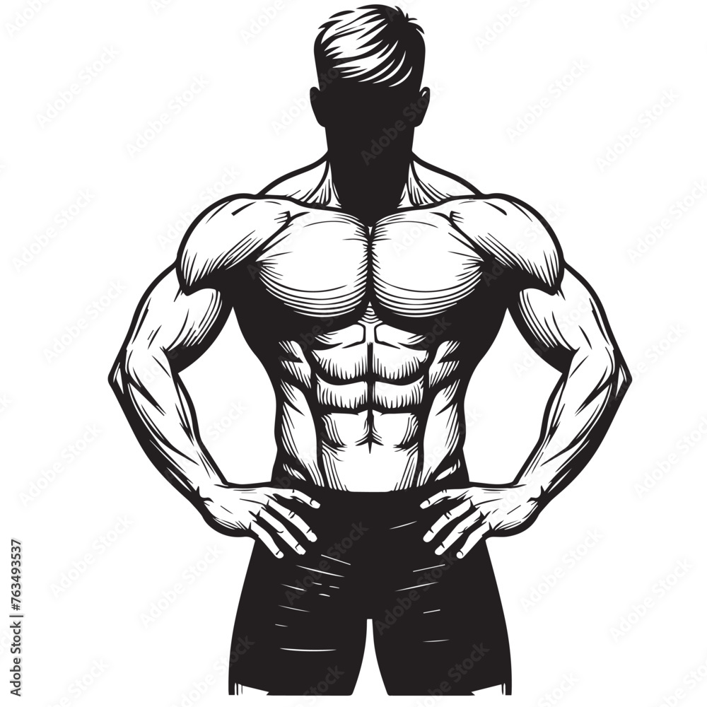 a clean body builder vector lines ,Muscular man in different poses showing muscles, Silhouettes athletes bodybuilding, Muscular bodybuilder vector silhouette illustration a clean body builder vector lines ,Muscular man in different poses showing muscles, Silhouettes athletes bodybuilding, Muscular bodybuilder vector silhouette illustration