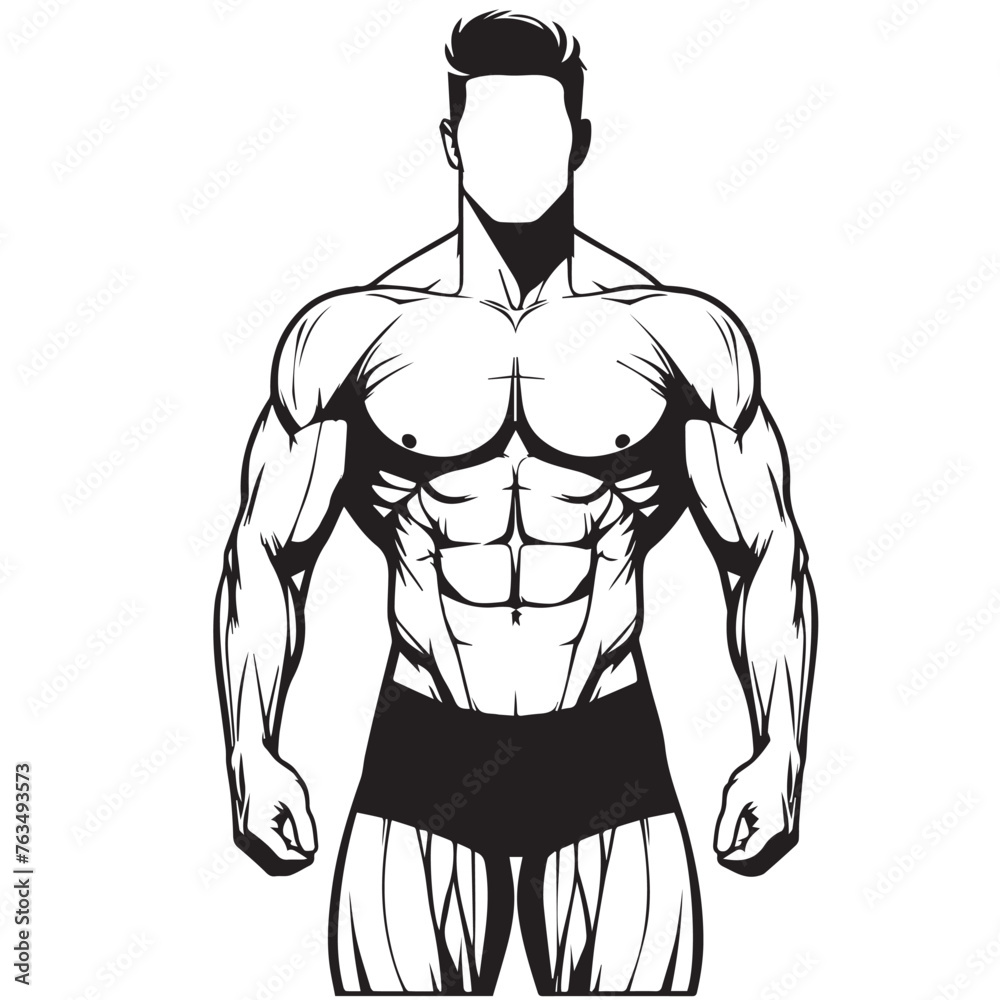 a clean body builder vector lines ,Muscular man in different poses showing muscles, Silhouettes athletes bodybuilding, Muscular bodybuilder vector silhouette illustration