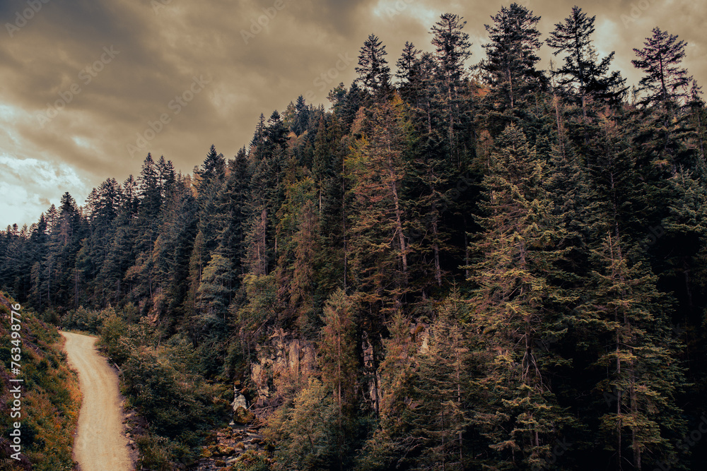 road, mountain, landscape, forest, nature, sky, mountains, travel, tree, river, summer, green, trees, path, hill, view, autumn, train, park, highway, railway, grass, outdoors, curve, valley