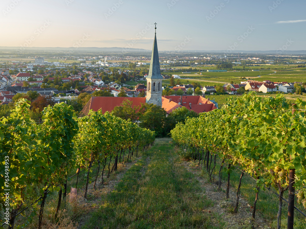 Blick auf Gumpoldskirchen,  Kirche St. Michael, Thermenregion, Niederösterreich, Österreich