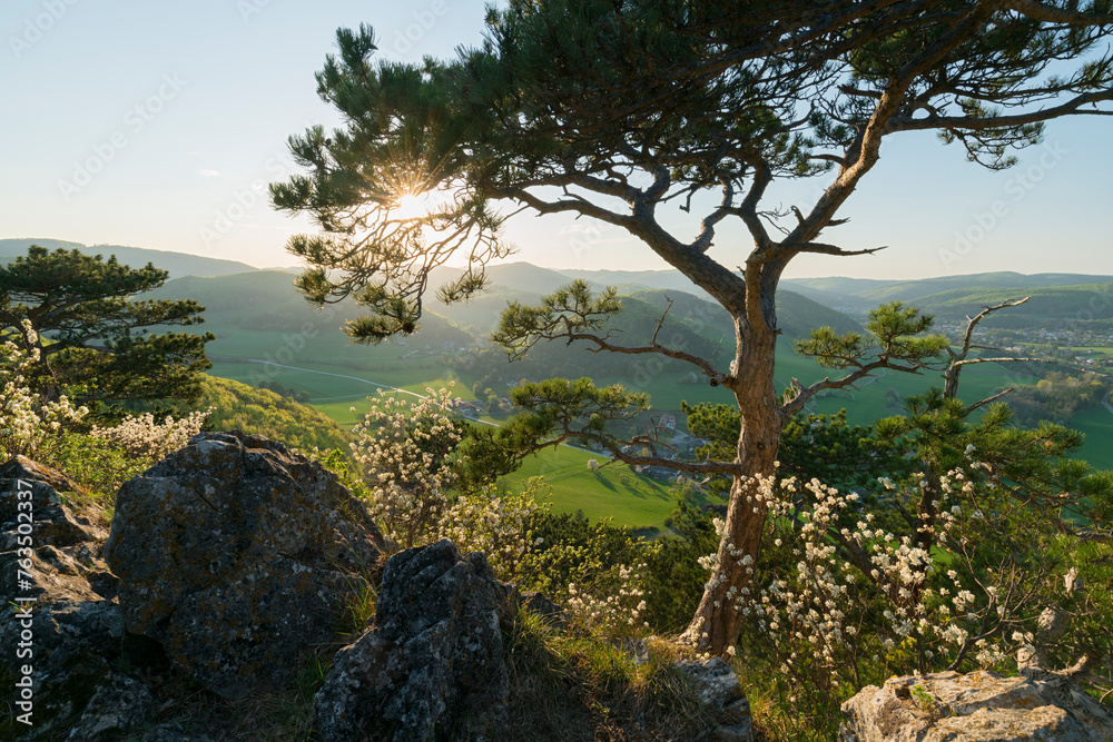 Blick von der Bischofsmütze bei Mayerling, Wienerwald, Niederösterreich, Österreich Blick von der Bischofsmütze bei Mayerling, Wienerwald, Niederösterreich, Österreich