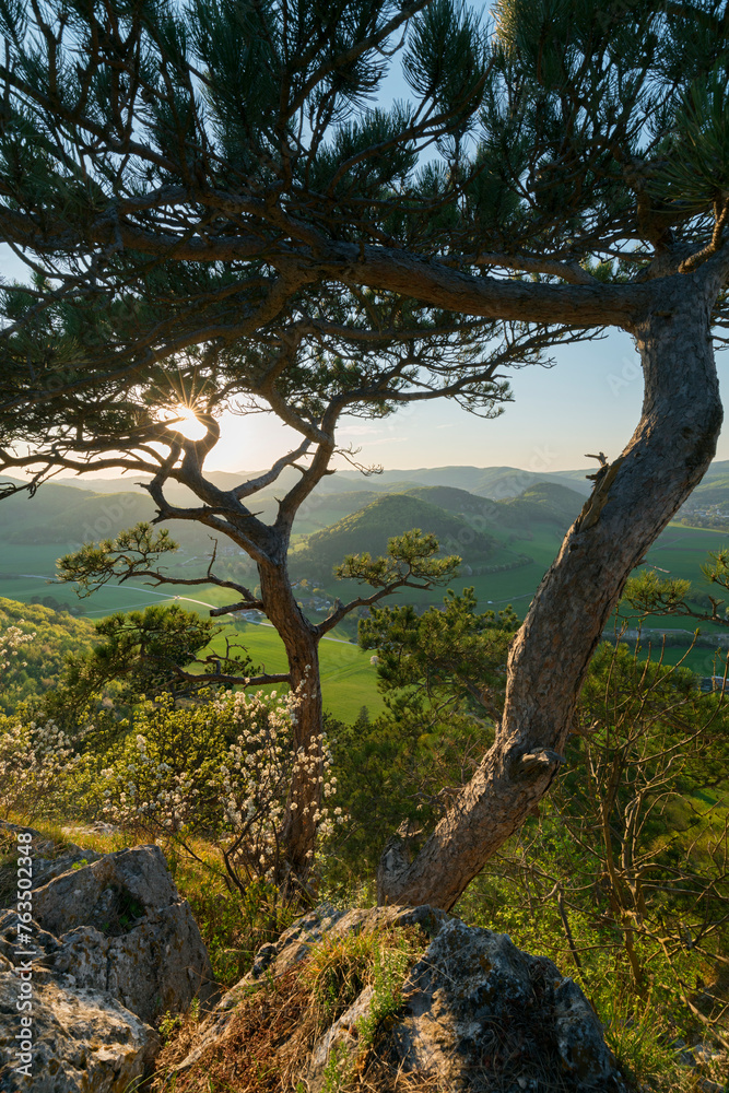 Blick von der Bischofsmütze bei Mayerling, Wienerwald, Niederösterreich, Österreich Blick von der Bischofsmütze bei Mayerling, Wienerwald, Niederösterreich, Österreich