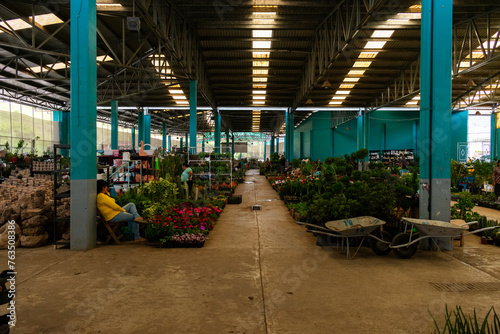 Mercado de flores en huauchinango, puebla, pasillo central. photo