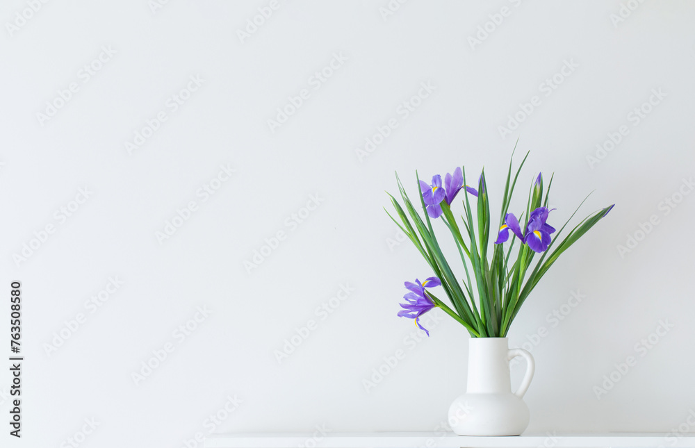 irises in white jug on white background irises in white jug on white background