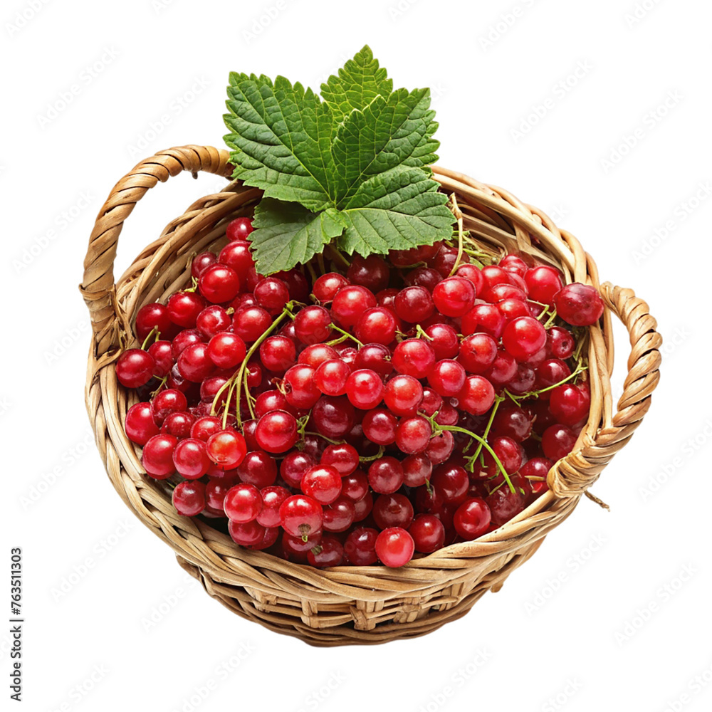 Red currants in a basket. isolated on transparent background. Red currants in a basket. isolated on transparent background.