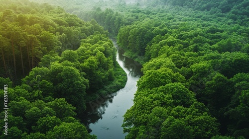 The environment  A serene forest scene with a winding river and lush green trees
