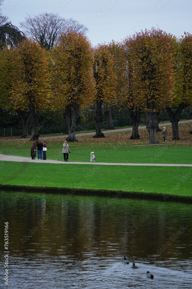 Obraz premium Vibrant and tranquil nature in Denmark