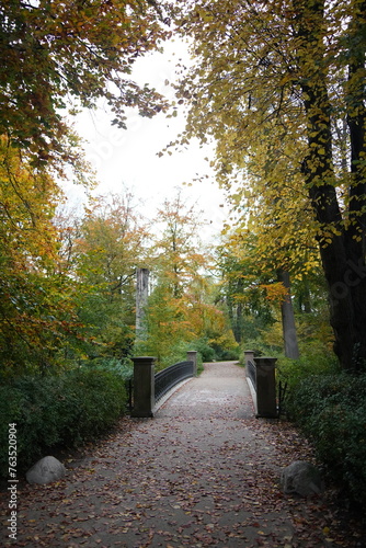 Photography Vibrant and tranquil nature in Denmark