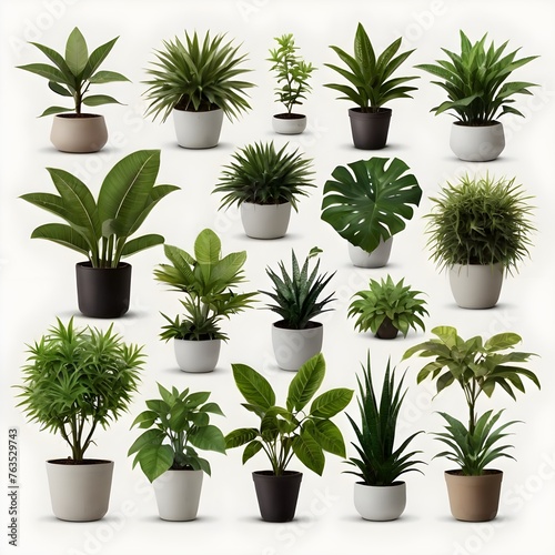 Plant Collection Isolated on White Background