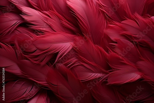 Close-Up of Red Birds Feathers