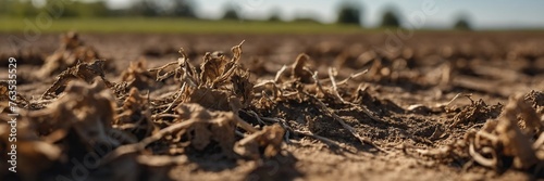 Agricultural fields dried up and unfit for cultivation