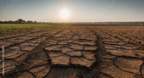 Agricultural fields dried up and unfit for cultivation