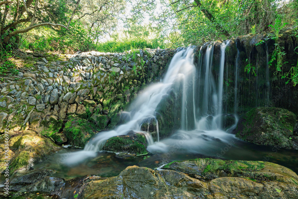 Enchanting Forest Waterfall