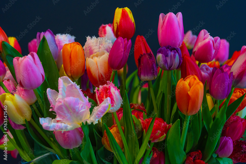 Tulipany ozdobne różne światowe odmiany w wazonowym wiosennym bukiecie. - obrazy, fototapety, plakaty 