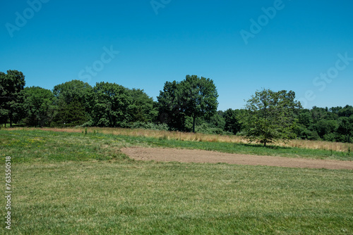 field and sky