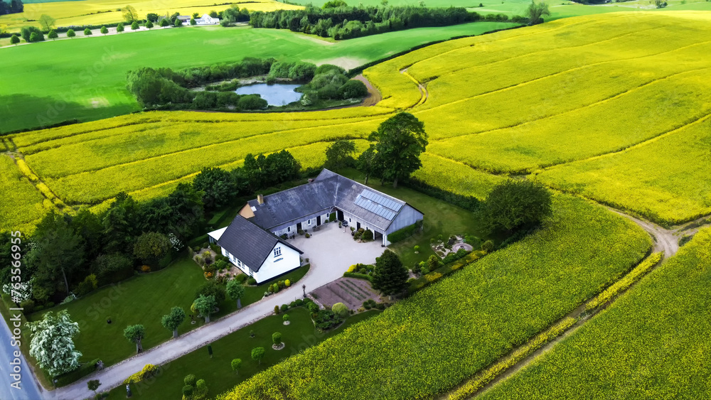 Country idyll in Denmarkwith country house and blossoming agricultural fields (rapeseed flowers)