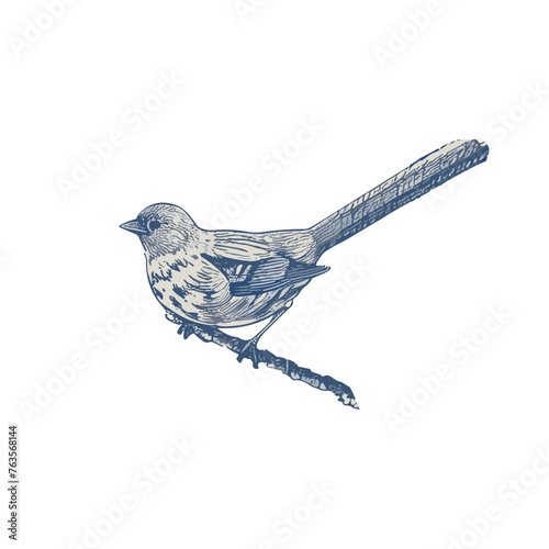 Cute Bird Clipart. Nature Inspired Animal Art. photo