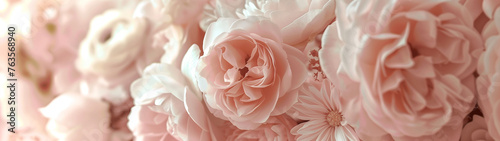 Rose Reverie  Pale Flowers on Background