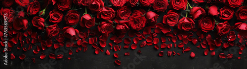 Red Roses on Black Background