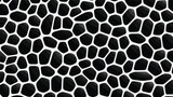 Black and white seamless pattern the texture of tur