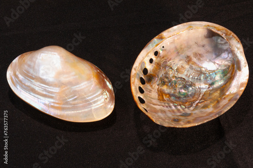 Top view, close up of, a clam shell and, interior of, an abalone shell, on black background