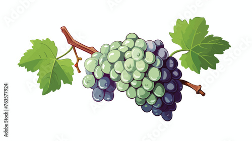 Branch of grapes with leaves in sketch style. Vector