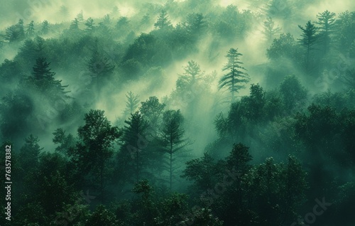 Mystical Forest in Mist: Enchanted Greenery with Morning Dew and Soft Sunlight