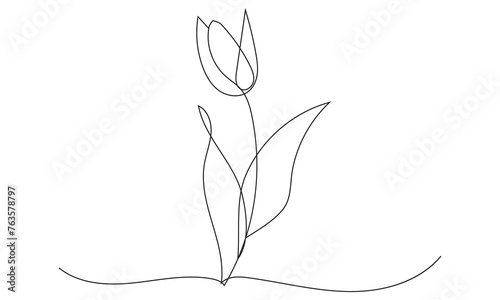 Tulips flower continuous line drawing. Tulip outline icon Vector illustration. 