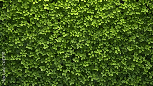 Lush green clover texture background