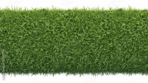 Lush green grass hedge isolated on white background photo