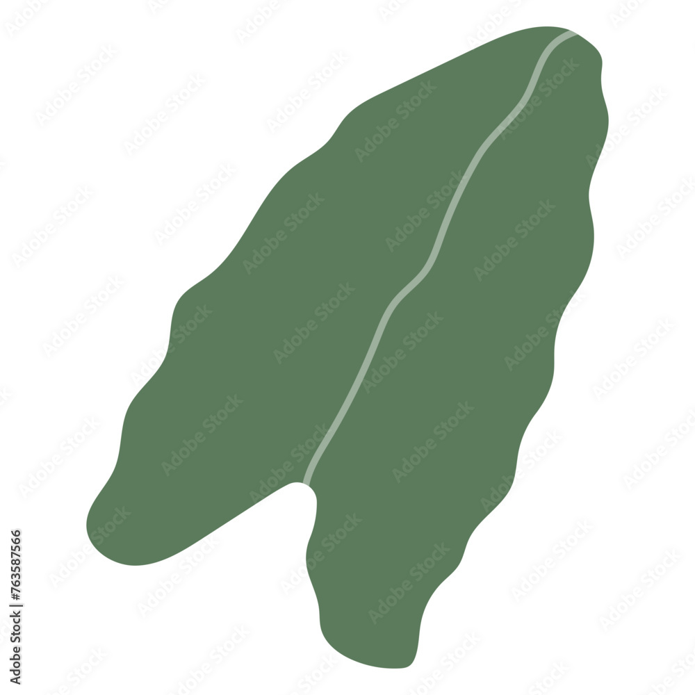 Tropical Leaf Vector Tropical Leaf Vector