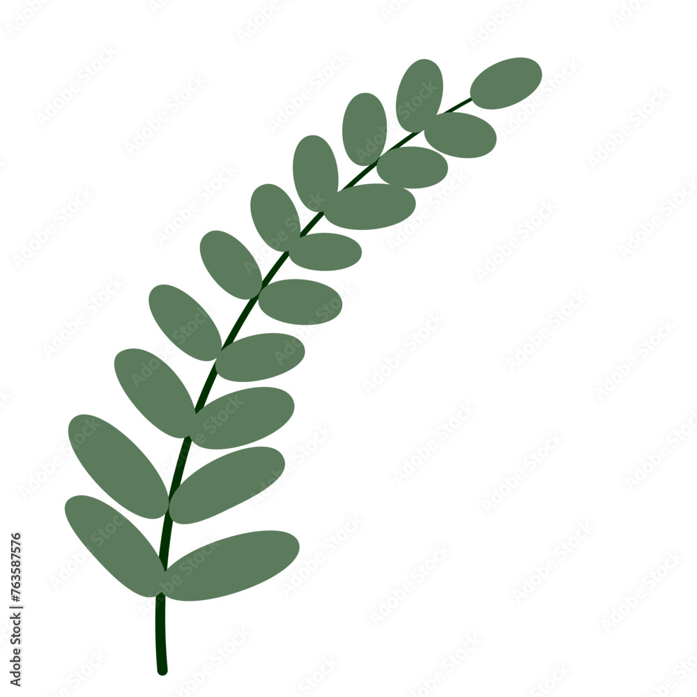 Tropical Leaf Vector Tropical Leaf Vector