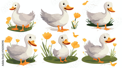 Cute goose. Adorable farm birds in different poses
