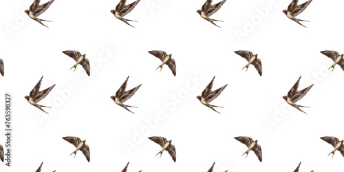 Swallow watercolor clipart illustration seamless pattern birds songbird feathers fauna nature animals ecological