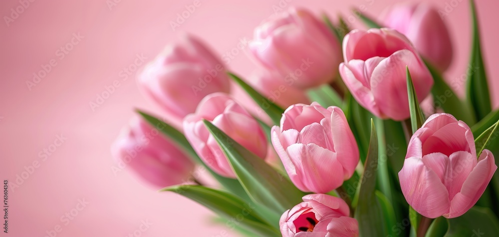 Bouquet of pink tulips on pink background. Mothers day, Birthday celebration concept. Greeting card Bouquet of pink tulips on pink background. Mothers day, Birthday celebration concept. Greeting card