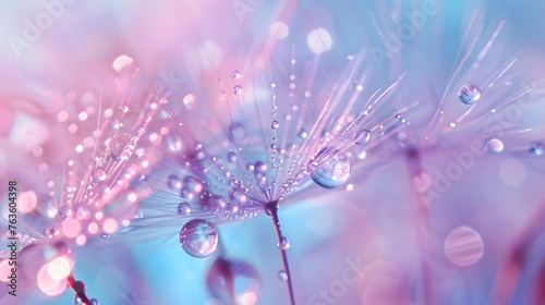Macro nature. Beautiful dew drops on dandelion seed macro. Beautiful soft background.