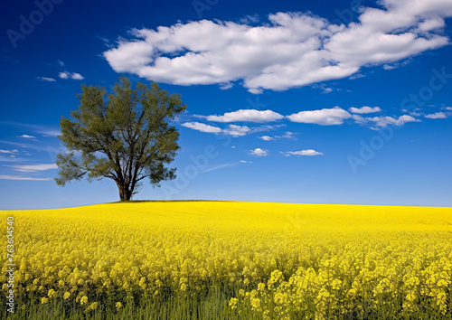 A large tree stands in a field of yellow flowers. The sky is clear and blue, with a few clouds scattered throughout. The scene is peaceful and serene, with the tree providing a sense of stability